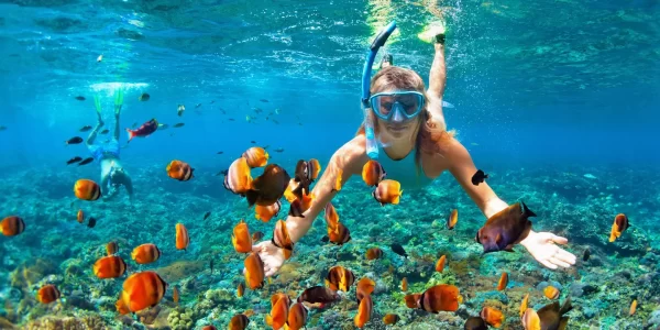 Tour XEL-HA Todo Incluido con Transporte Redondo PROMO MX 🇲🇽 - Imagen 8
