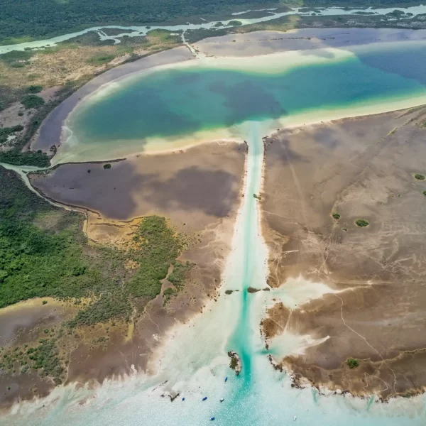 Laguna de Bacalar PLUS + Paseo en LANCHA Ponton Tour de Dia - Imagen 9