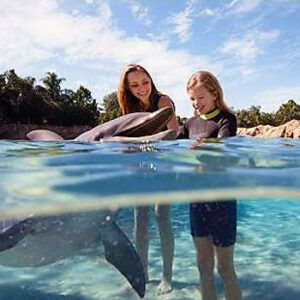 Dolphin Ride - Delphinus Hyatt Ziva