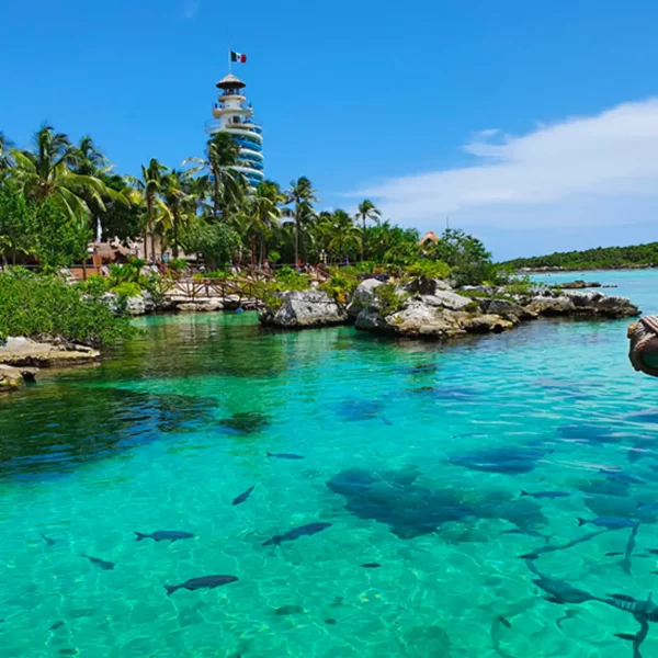Tour XEL-HA Todo Incluido con Transporte Redondo PROMO MX 🇲🇽 - Imagen 3