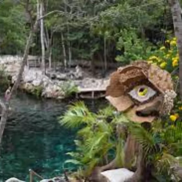 Casa TORTUGA + TULUM Combo Tour de Dia completo - Imagen 6