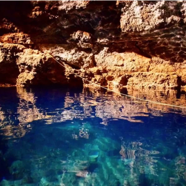 Tulum 4x1 Clasico 4 Actividades en Dia Completo - Mayab Travel - Imagen 15
