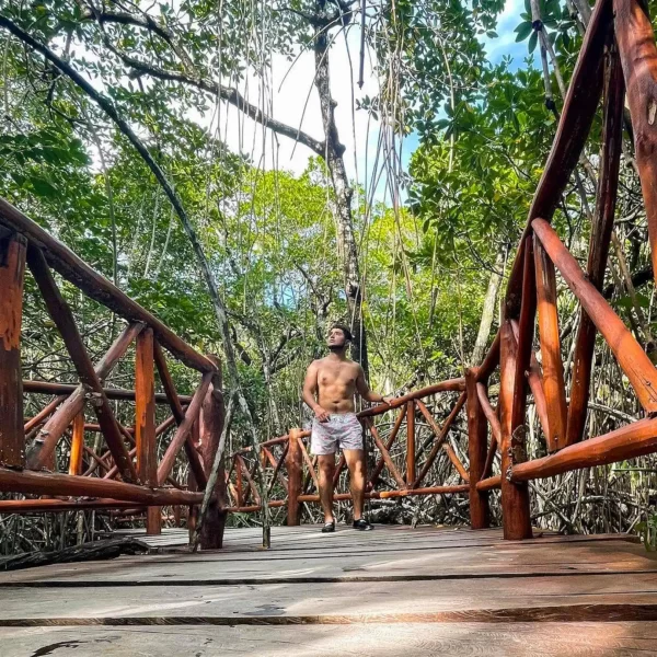 Casa TORTUGA + TULUM Combo Tour de Dia completo - Imagen 7