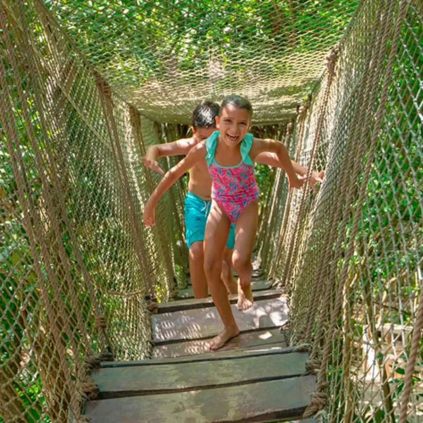 Tour XEL-HA Todo Incluido con Transporte Redondo PROMO MX 🇲🇽 - Imagen 14