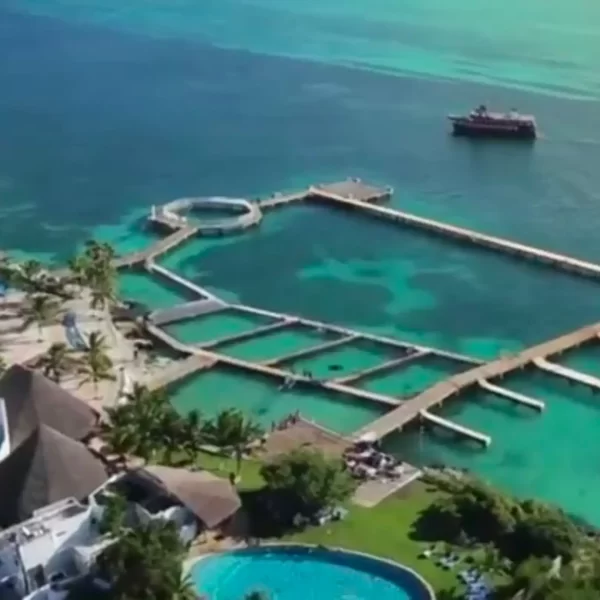 Encuentro con Delfines en Plataforma Tour Familiar en ISLA MUJERES - Imagen 12