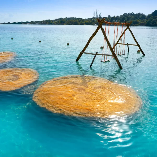 Laguna de Bacalar PLUS + Paseo en LANCHA Ponton Tour de Dia - Imagen 5
