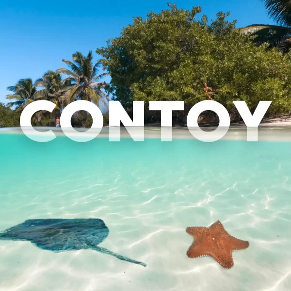 Isla CONTOY Tour de DIA Todo INCLUIDO - Imagen 5