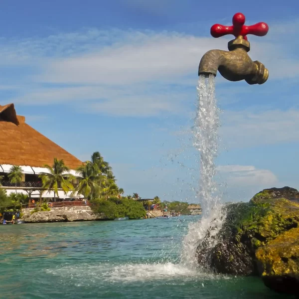 Tour XEL-HA Todo Incluido con Transporte Redondo PROMO MX 🇲🇽 - Imagen 4
