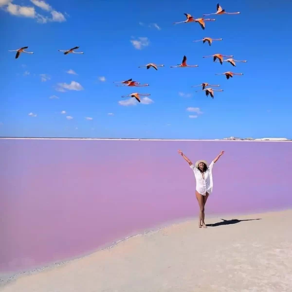 Las COLORADAS y Rio Lagartos Tour de Dia - Imagen 5