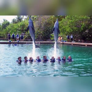 Dolphin Ride + Parque Xcaret PLUS - Delphinus