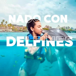 Encuentro con Delfines en Plataforma Tour Familiar en ISLA MUJERES