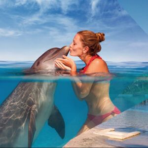Interax + Parque Xelha - Delphinus