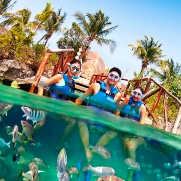 Tour XEL-HA Todo Incluido con Transporte Redondo PROMO MX 🇲🇽 - Imagen 13