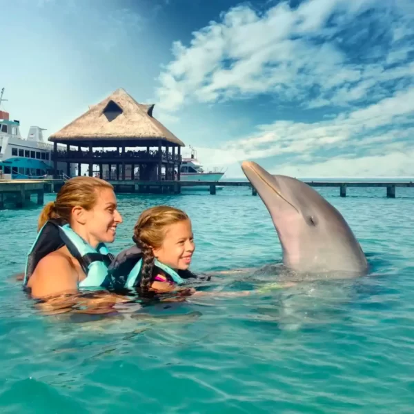 Encuentro con Delfines en Plataforma Tour Familiar en ISLA MUJERES - Imagen 10