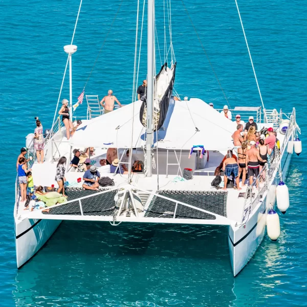 Tour a ISLA MUJERES en Catamaran TODO Incluido + CLUB DOLPHIN DISCOVERY - Imagen 6