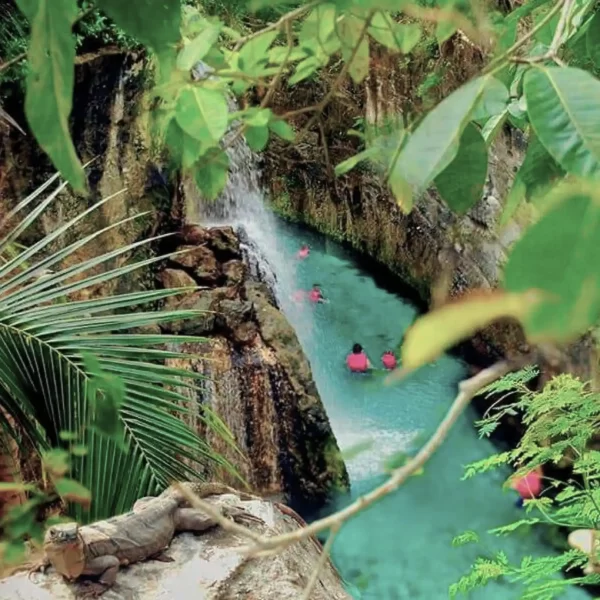 Xcaret PLUS con Transporte - Promoción 🇲🇽 MEXICANOS 🇲🇽 - Imagen 14