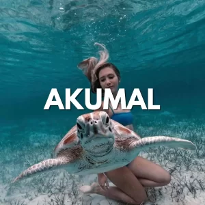 Tulum + AKUMAL Nado con TORTUGAS Tour de Dia Completo