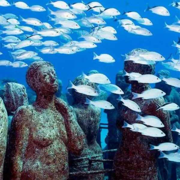 Tour a ISLA MUJERES en Catamaran TODO Incluido + CLUB DOLPHIN DISCOVERY - Imagen 16