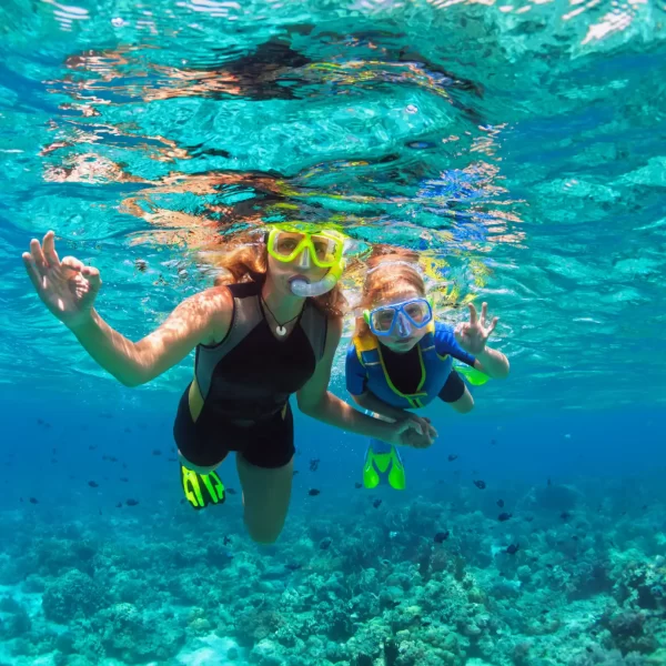 Jungle Tour Cancun Speed Boats - Conduce Tu Lancha Rapida con Snorkel - Imagen 7
