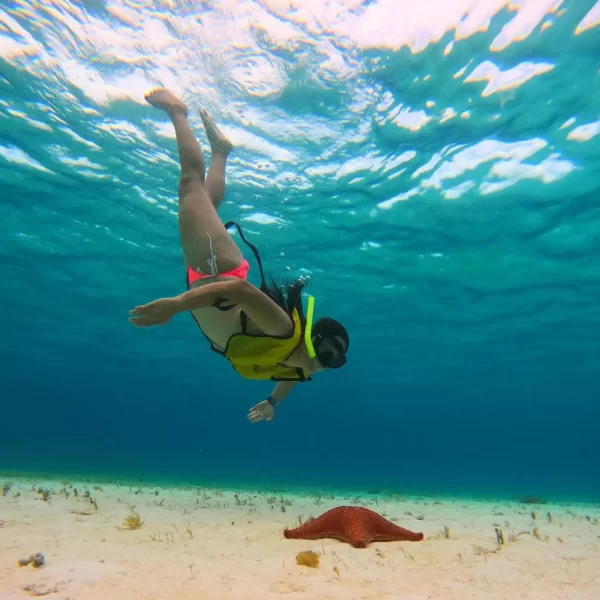 Cozumel el Cielo VIP Tour en Catamarán Todo Incluido - Imagen 14