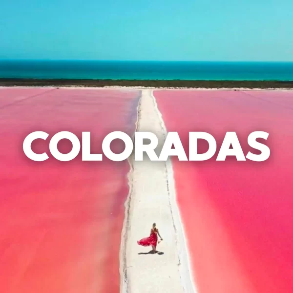 Las COLORADAS y Rio Lagartos Tour de Dia - Imagen 2