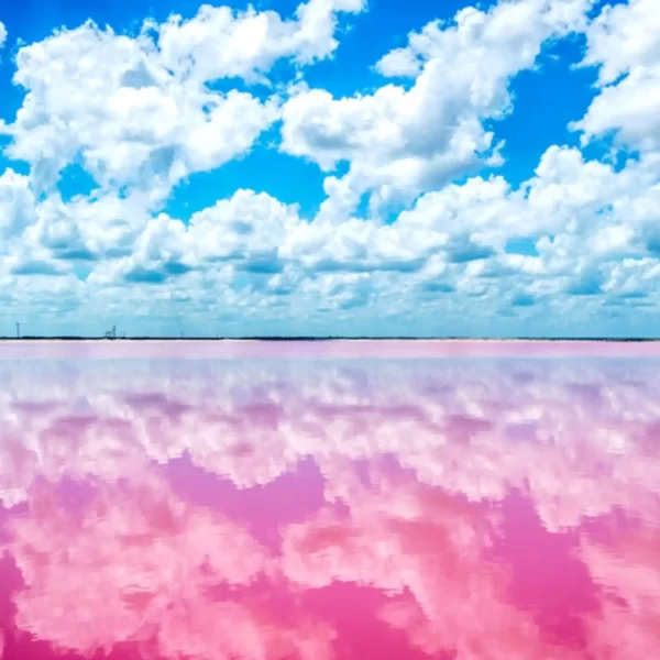 Las COLORADAS y Rio Lagartos Tour de Dia - Imagen 3