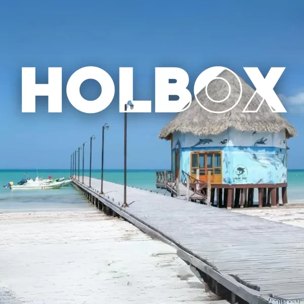 Holbox Tour de Dia + Cenote YALAHAU Paquete PLUS