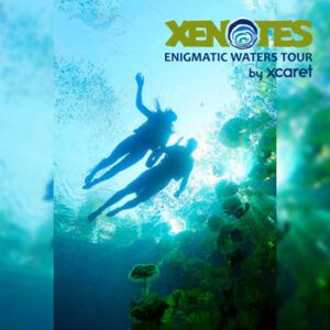 Tour Xenotes Oasis Maya - Experiencias Xcaret