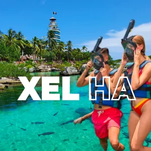 Tour XEL-HA Todo Incluido con Transporte Redondo PROMO MX 🇲🇽